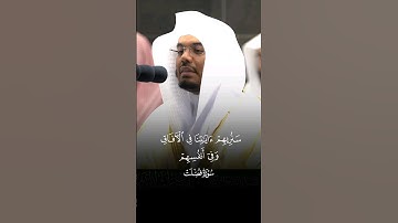 #ياسر_الدوسري #سورة_فصلت #قرآن #تلاوة_خاشعة #القرآن_الكريم