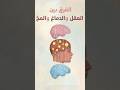 الفرق بين العقل والدماغ والمخ