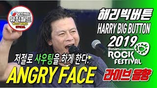190727  해리빅버튼 angry face [ 라이브 2019부산국제록페스티벌 ]