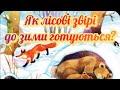 Як звірі у лісі до зими готуються Дикі тварини дітям Україна дикітварини mp3