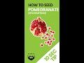 How to Seed Pomegranate with a Spoon #shorts