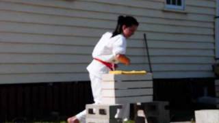Jessica Beyers - 4 Brick Break - Zen Chi Ryu Gladstone screenshot 3