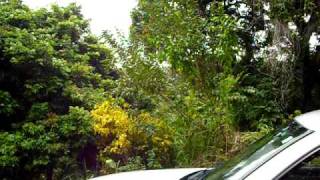 MLS #231657  VIDEO.avi