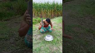 No one knows what's inside.. #funny #viral #shorts #youareoneofakind #trending