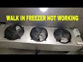 WALK IN FREEZER NOT WORKING