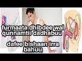 Furmaataa Wal Qunnamtii Salaa Dadhabuu Ykn Bishaan Dafee Sirra Bahuu 
