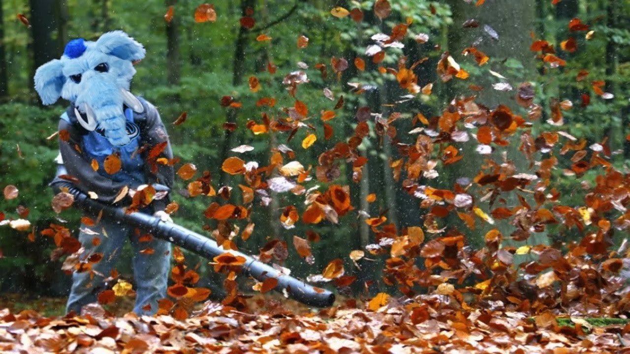 The Gunslinger | The Howl S10 Ep35