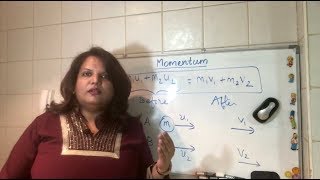 IGCSE PHYSICS REVISION Momentum - principle, conservation of momentum, examples