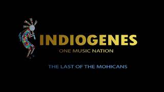 The Last Of The Mohicans - Studio Audio - Indiogenes