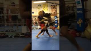 2017051102 toellgym.com
