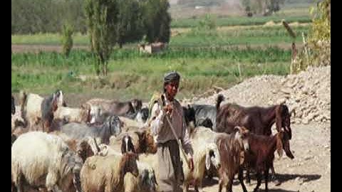 C R E FORM 3, PROPHET AMOS, CALL OF PROPHET AMOS LESSON 15