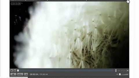 How to Record Streaming Video, Radio & Music