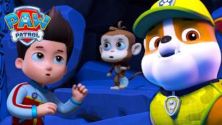 baby monkey trouble cat pack rescue paw patrol official