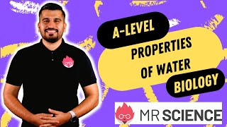 Water Properties | A level Biology in 4K | Mr Science