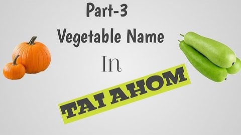 Learn Tai Ai || Aiton || Name of vegetables Part - 3.