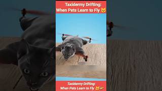 Taxidermy Drifting: When Pets Learn to Fly 🐱🚁 #interactivestory #brainteaser #horrorstory #riddle