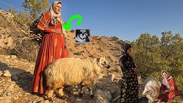 Documentary on the Hard Life of Nomads: Shiva