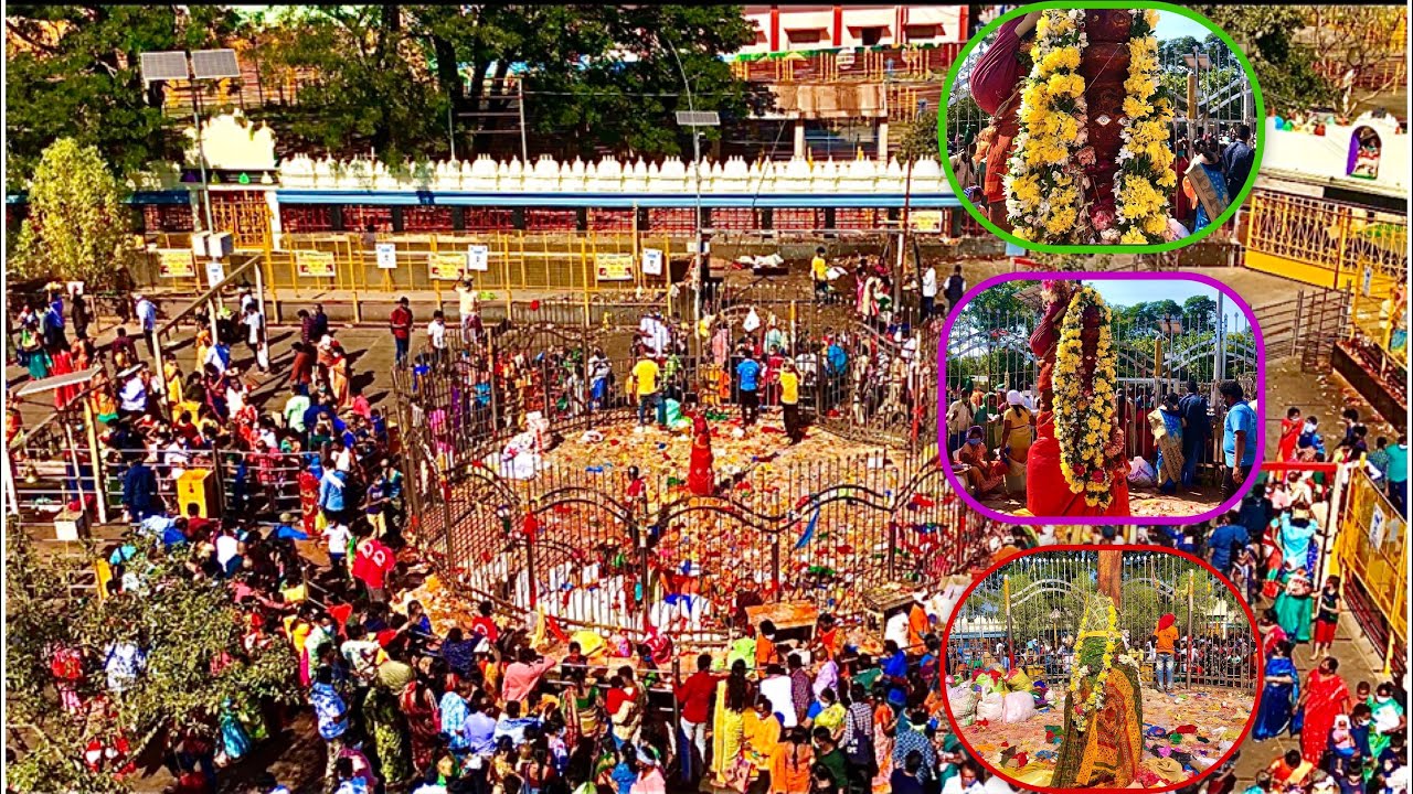 మేడారం జాతర 2022 | సమ్మక్క సారక్క జాతర 2022 | సమ్మక్క సారక్కమ్మవారికి ప్రత్యేక పూజ 2020 | మేడారం