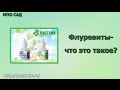 Презентация САД - Флуревиты - что это такое?