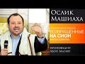 &quot;Ослик Машиаха&quot; - проповедует Леон Мазин