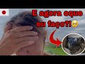 Preciso de ajuda de profissionais #vivendonojapao #brasileiropelomundo #animaisdeestimação