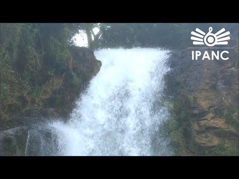 Cascada De Paluz Ipanc