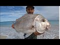 Pink snapper fishing from the beach perth western australia