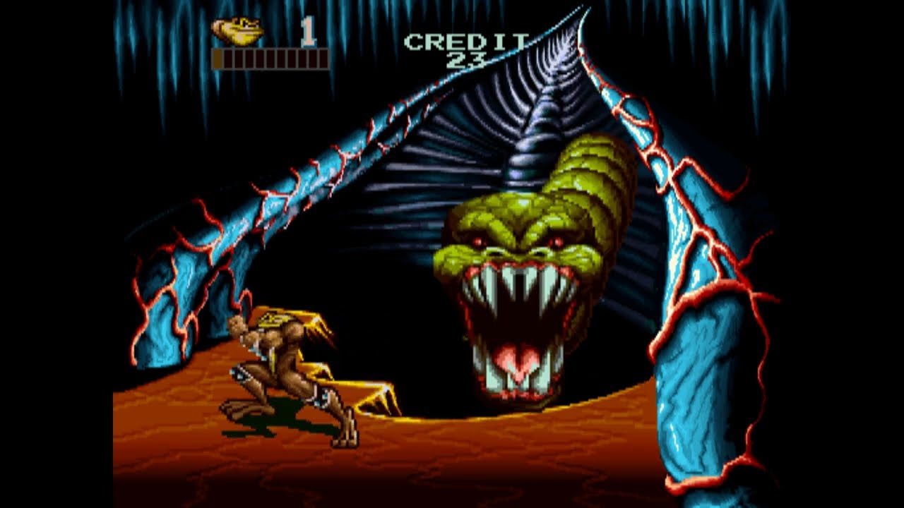 Longplay 270. Battletoads (1994), Pimple. MAME. Emulator - MAMEUIFX 64 0.175.1.