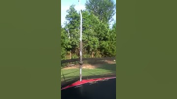 Cedric Thissen Channel Intro