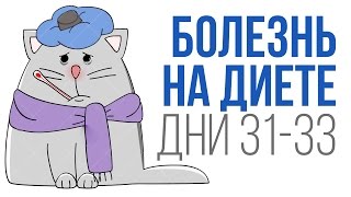 Дни № 31-33. Диета и болезнь. Боремся с болезнью на Energy Diet Дни № 31-33. Диета и болезнь. Боремся с болезнью на Energy Diet