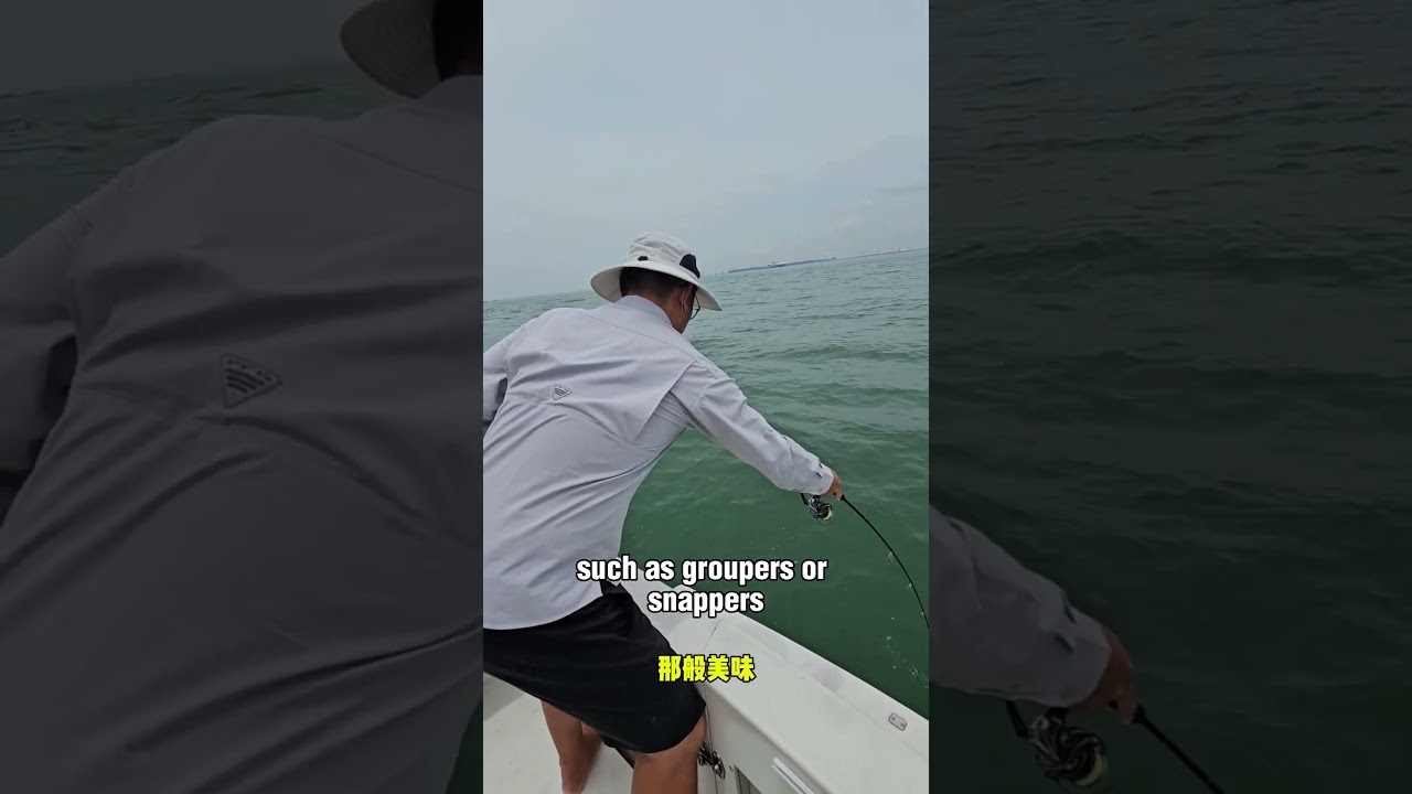 Which pelagic fish is tasty 