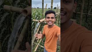 मी हार मानली नाही 💯 #MarathiAI#AIVideoMarathi#MarathiVideos#ArtificialIntelligence#MarathiTech#AIMar