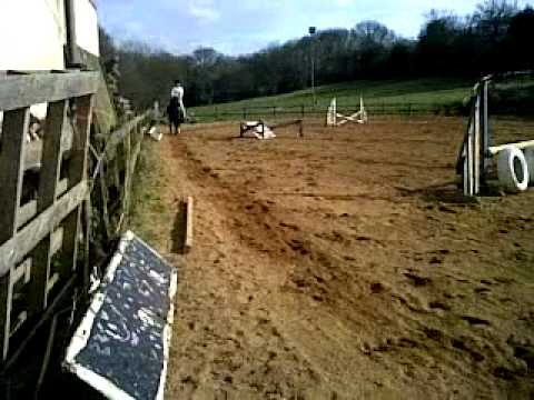 Cherise And Black Jack Supreme(Jackson) Jumping