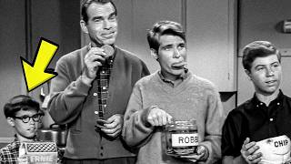 Celebrity My Three Sons (1960–1972): 10 Secrets ABC Never Wanted You to Know! Profile