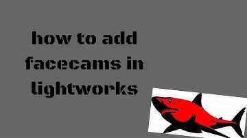 how to add facecams in lightworks