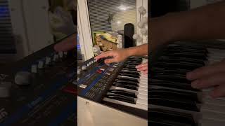 Solton Programmer 24  is the Kraftwerk/Italo Disco ultimate synth😺