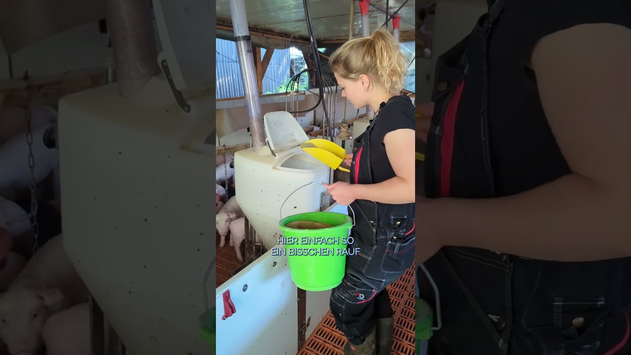 Husten im Schweinestall - SALVANA EUKATOP🐷