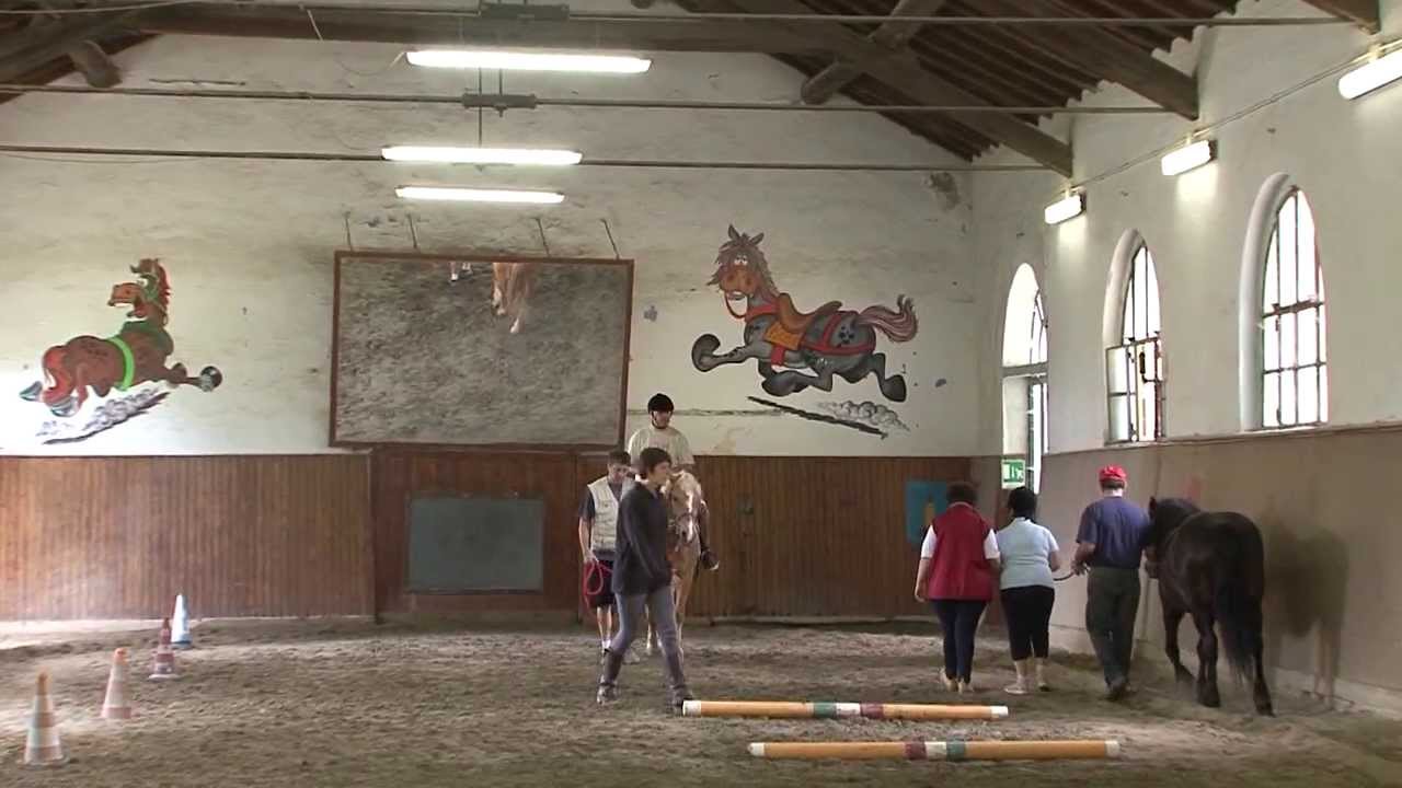 La salute sulla decolorazione affronta pacchi