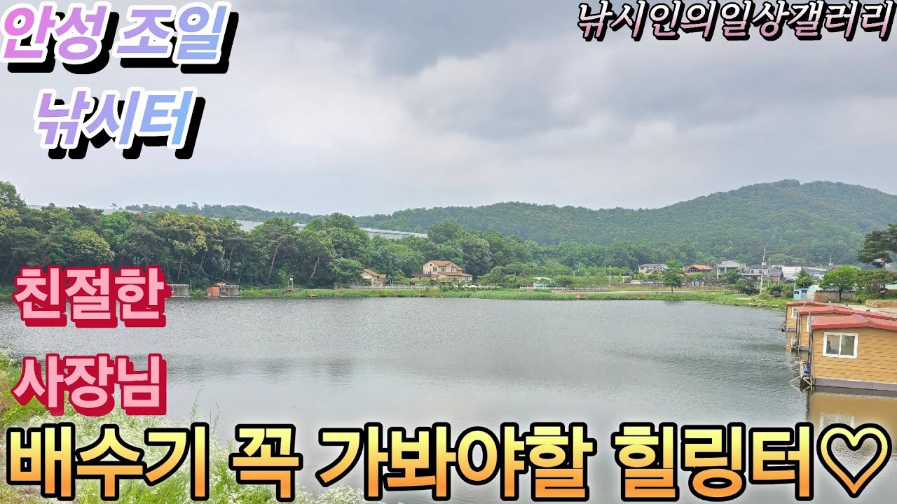 배수기 꼭 가봐야할 힐링터(조일낚시터)