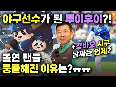 야구선수가 된 루이바오 후이바오! 갑자기 팬들 뭉클해진 이유는? 🐼 강바오 시구 유력 날짜는 언제?
