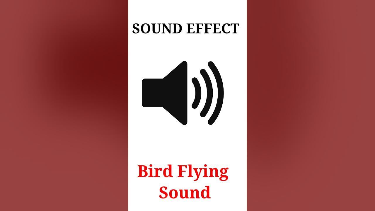 bird-flying-sound-effect-shorts-youtube
