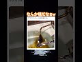 本当にチョコかこれ？w #shorts#tiktok#Twitter#おもしろ#お笑い#おすすめ#お風呂 #面白い#おもしろ動画#爆笑#バズれ
