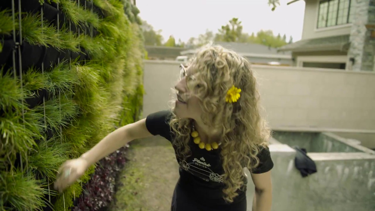 Inside Planted Design's Largest Living Wall YouTube