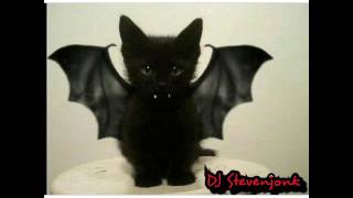 DJ Stevenjonk-Dugem ( Djakarta Insomnia)