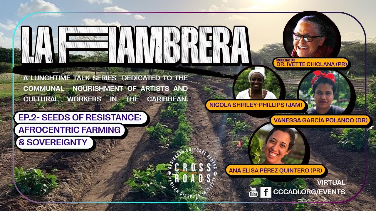 CROSSROADS — CCCADI