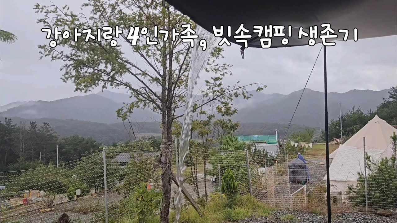 우중 캠핑에 댕댕이까지?!태극캠핑장 가족캠핑 브이로그2🐶🌧️ 