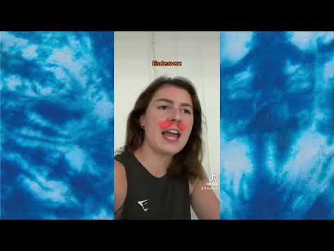 My Hero Academia Endeavor Joins The PTA Bluesbirb TikTok Compilation 