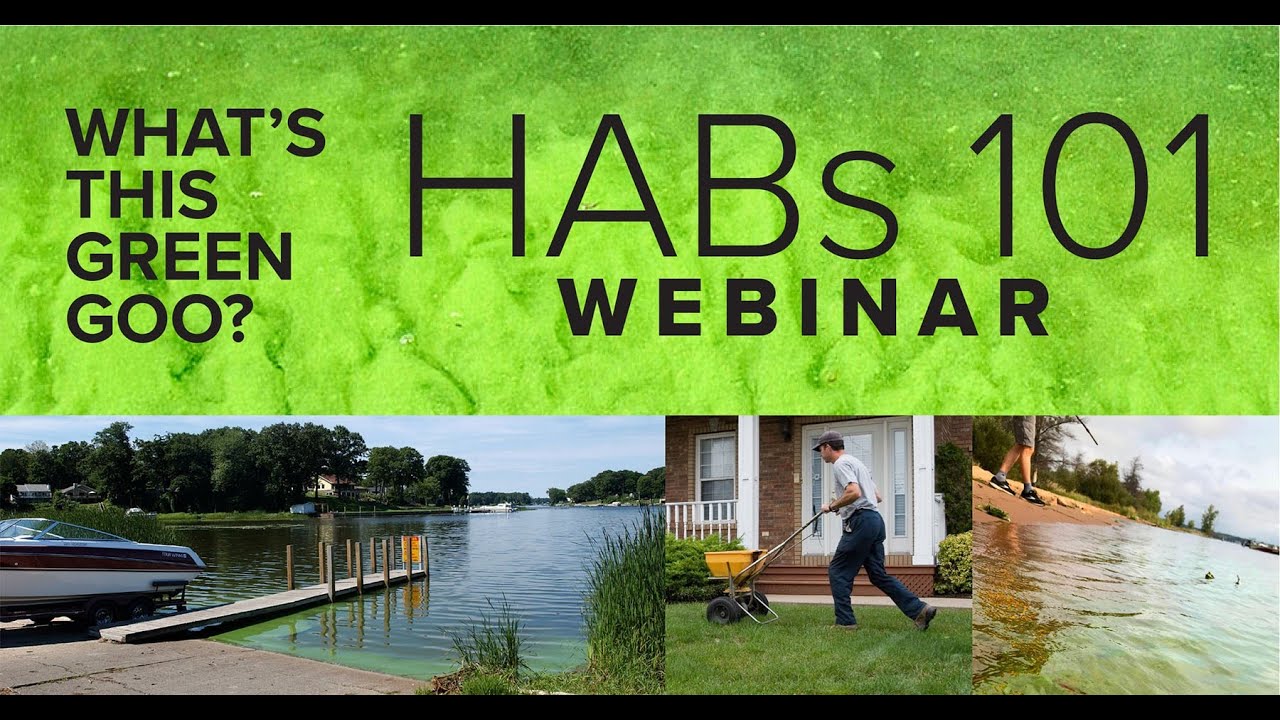 Michigan HABs 101 webinar