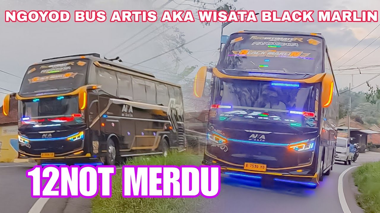 MAKIN ASYIK NGOYOD BUS ARTIS AKA WISATA BLACK MARLIN 12NOT‼️ Bus Telolet Merdu || REALITA BUS71