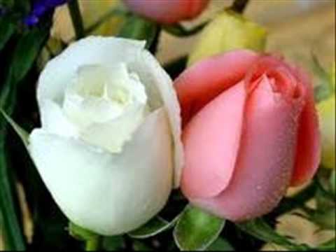 خاطف القلوب اغنية عيوني سهراني